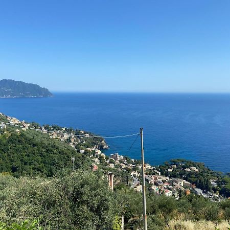 Casa Da Lira Leilighet Poggio Favaro-San Bernardo Eksteriør bilde